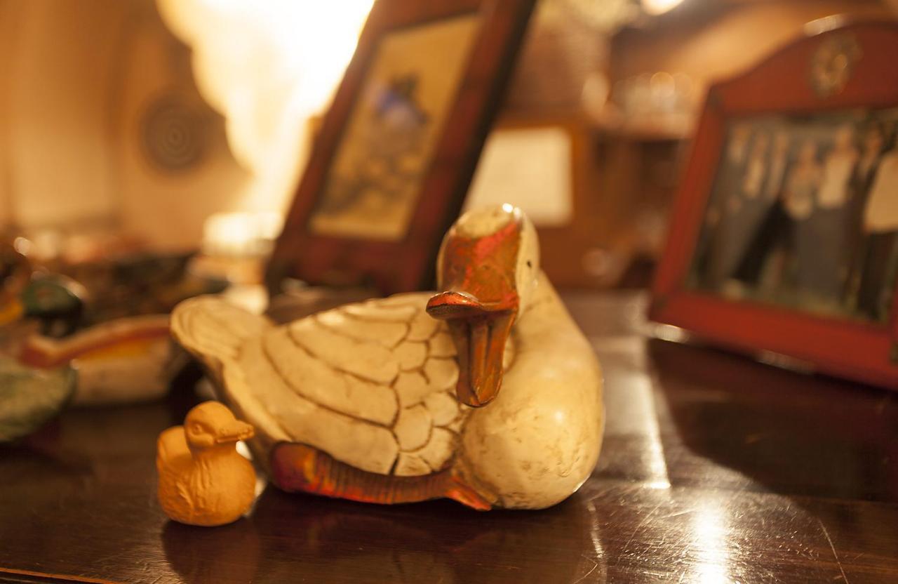 Relais Mastro Cinghiale Bed & Breakfast Paciano ภายนอก รูปภาพ