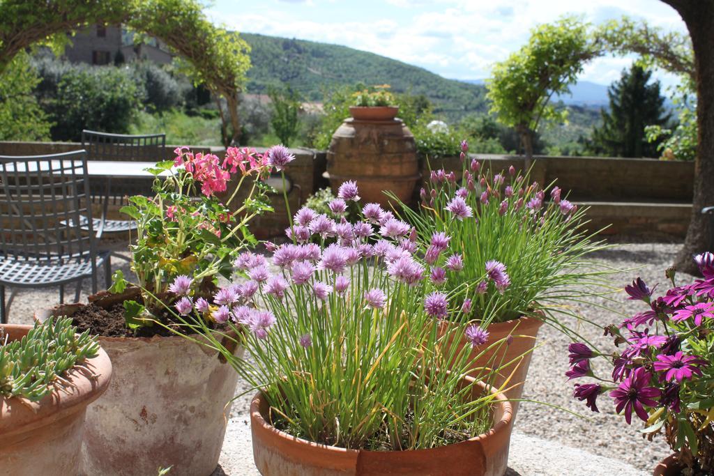 Relais Mastro Cinghiale Bed & Breakfast Paciano ภายนอก รูปภาพ