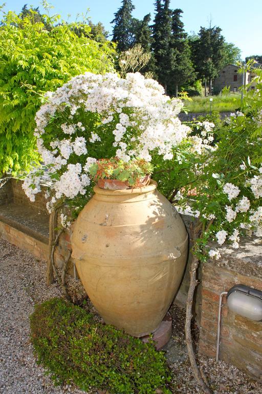 Relais Mastro Cinghiale Bed & Breakfast Paciano ภายนอก รูปภาพ